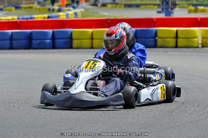 DSC_ (1557).jpg